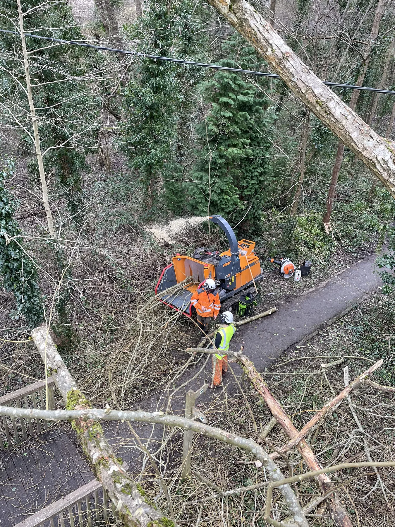 Tree surgery on site by Treevolution