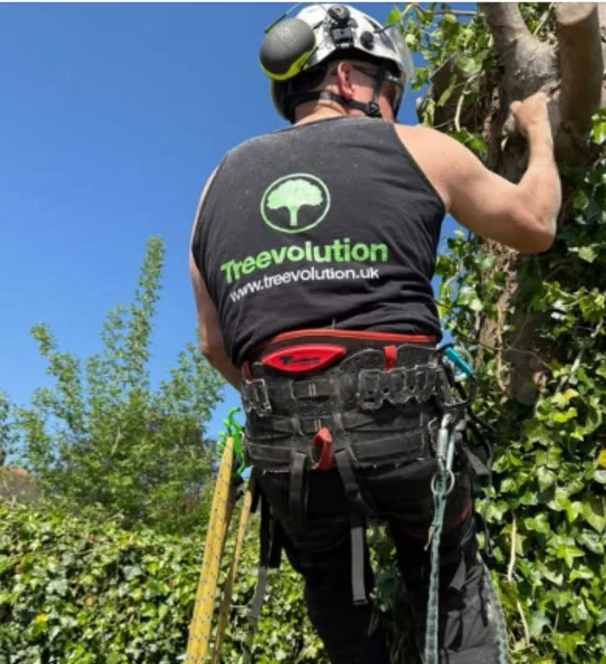 Experienced tree surgeons. A practical approach.