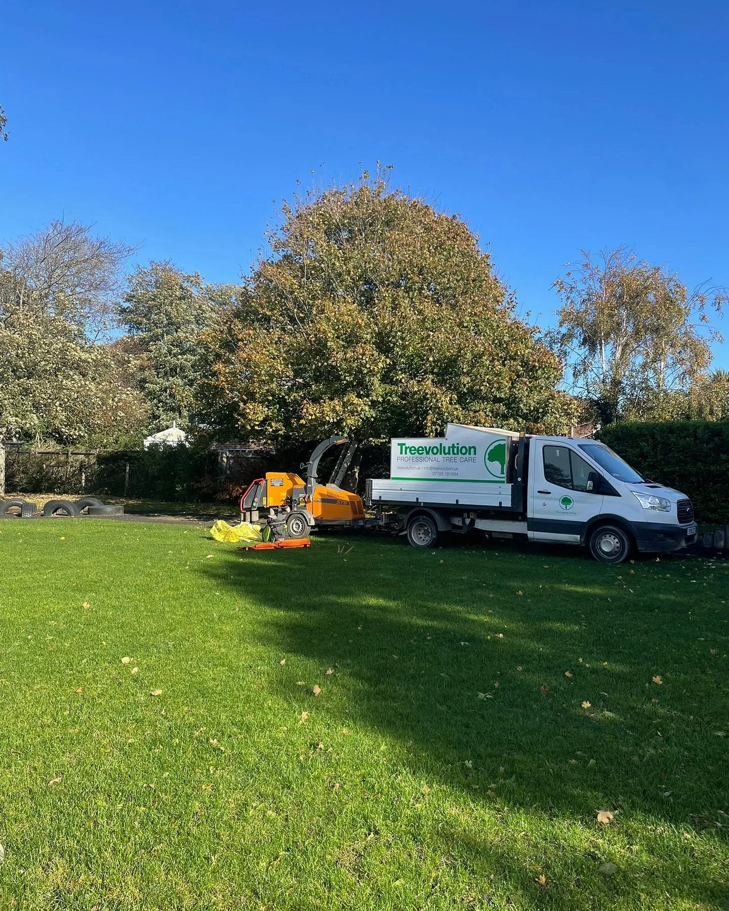 Tree care people are happy to recommend.